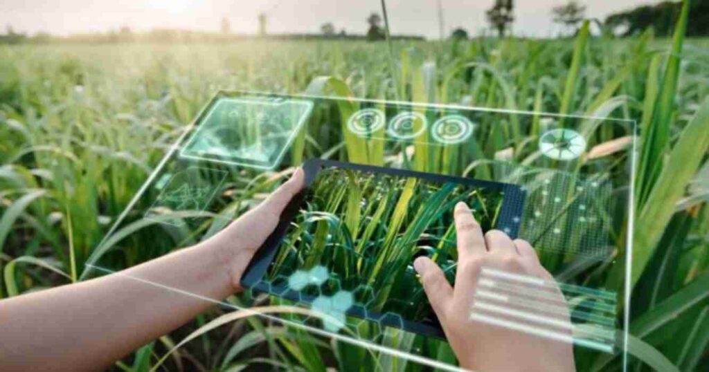Captura de datos en origen con tablet en campo